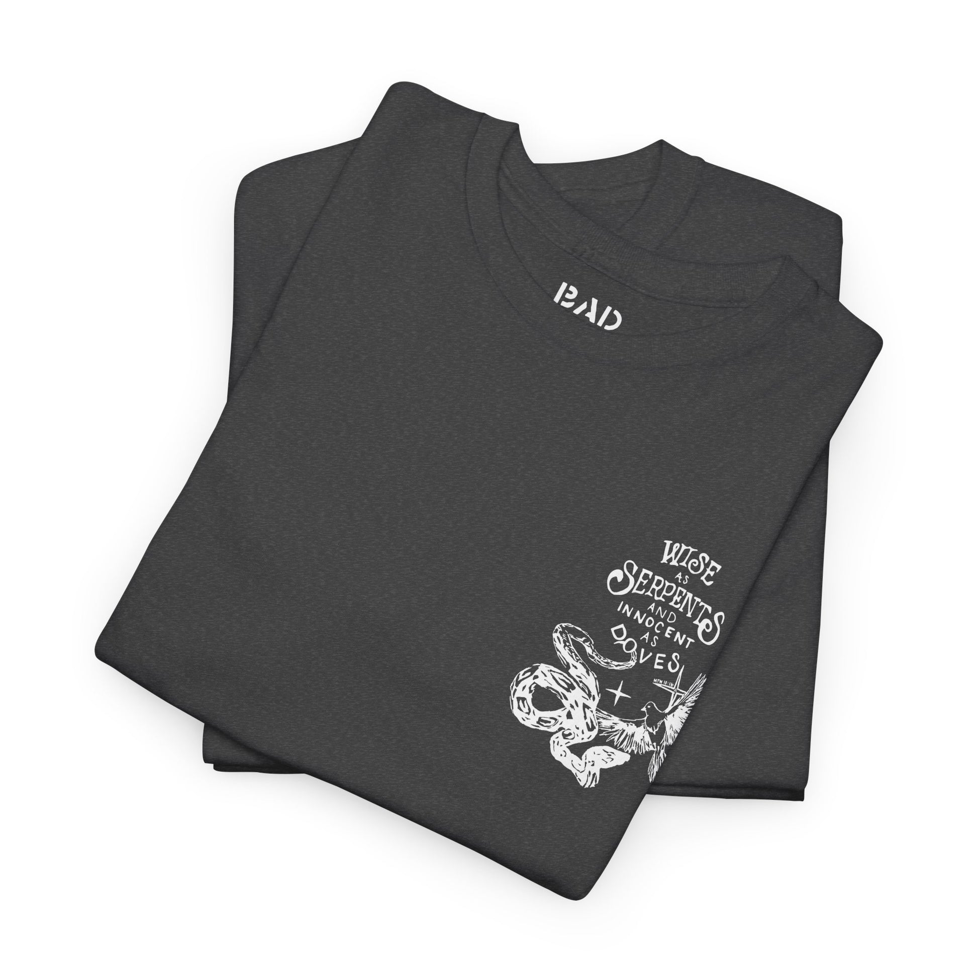 Matthew 10:16 – Serpent & Dove